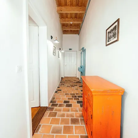 Cosmopolitan* Hostel