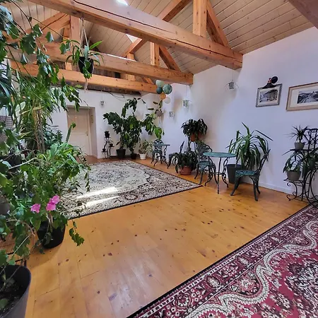 Cosmopolitan* * Banská Štiavnica